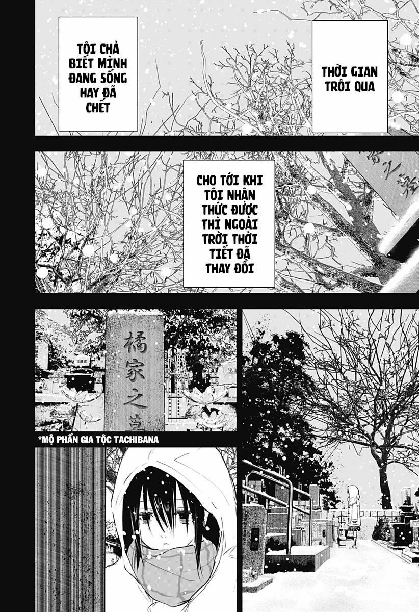 Wild Strawberry 10 trang 12