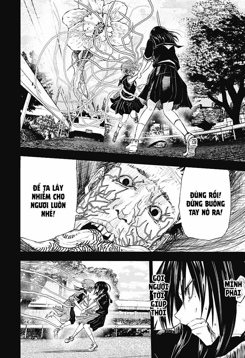 Wild Strawberry 10 trang 4