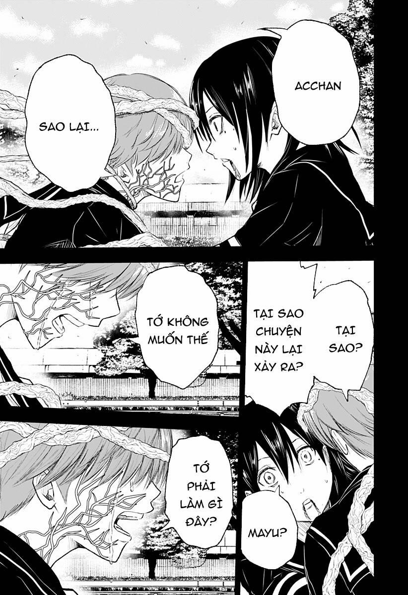 Wild Strawberry 10 trang 5