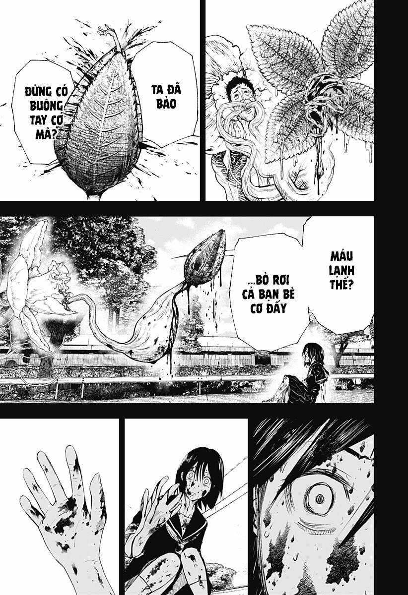 Wild Strawberry 10 trang 9