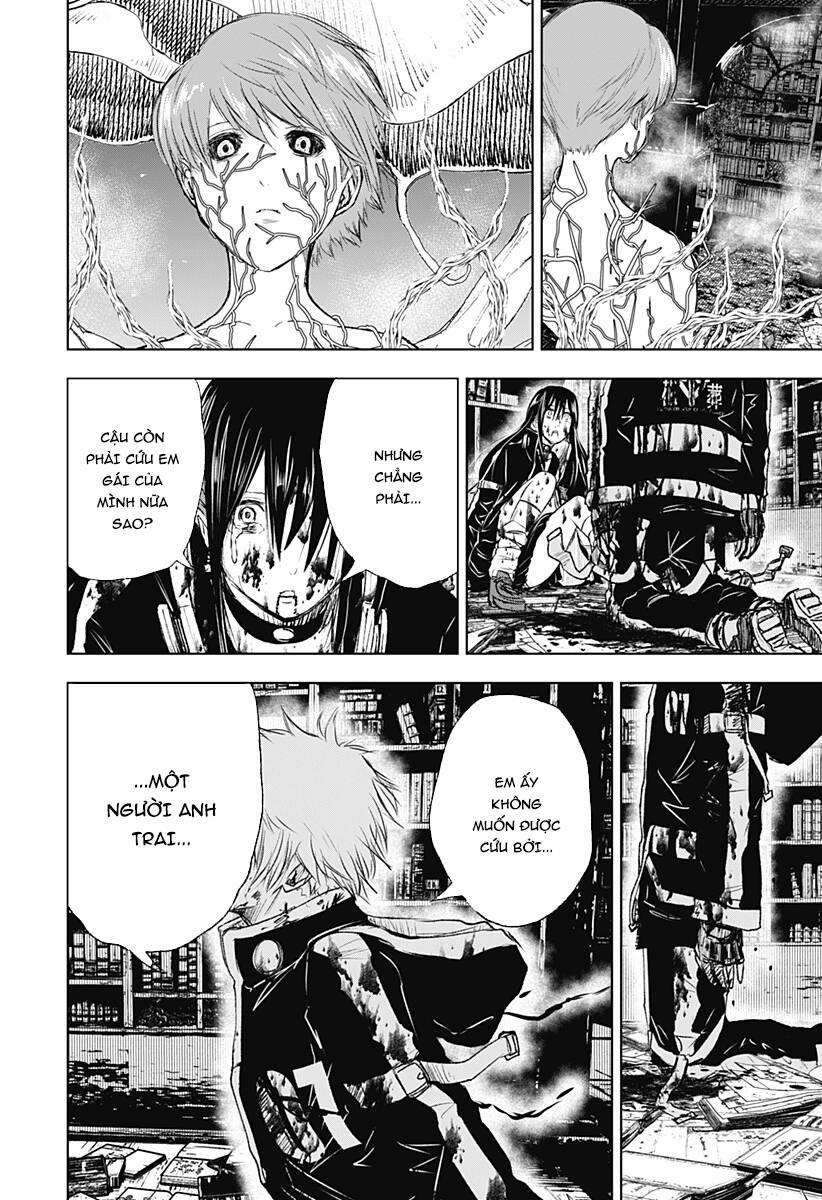 Wild Strawberry 11 trang 9