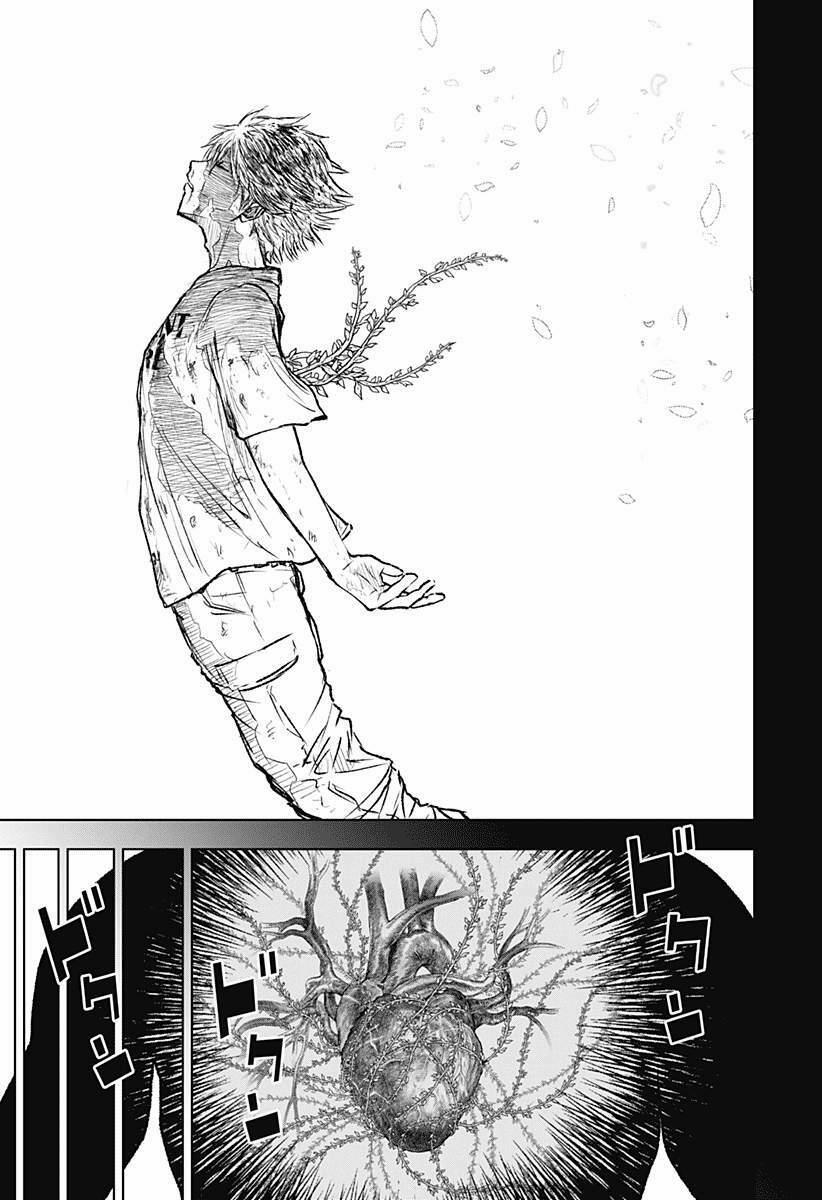 Wild Strawberry 2 trang 14