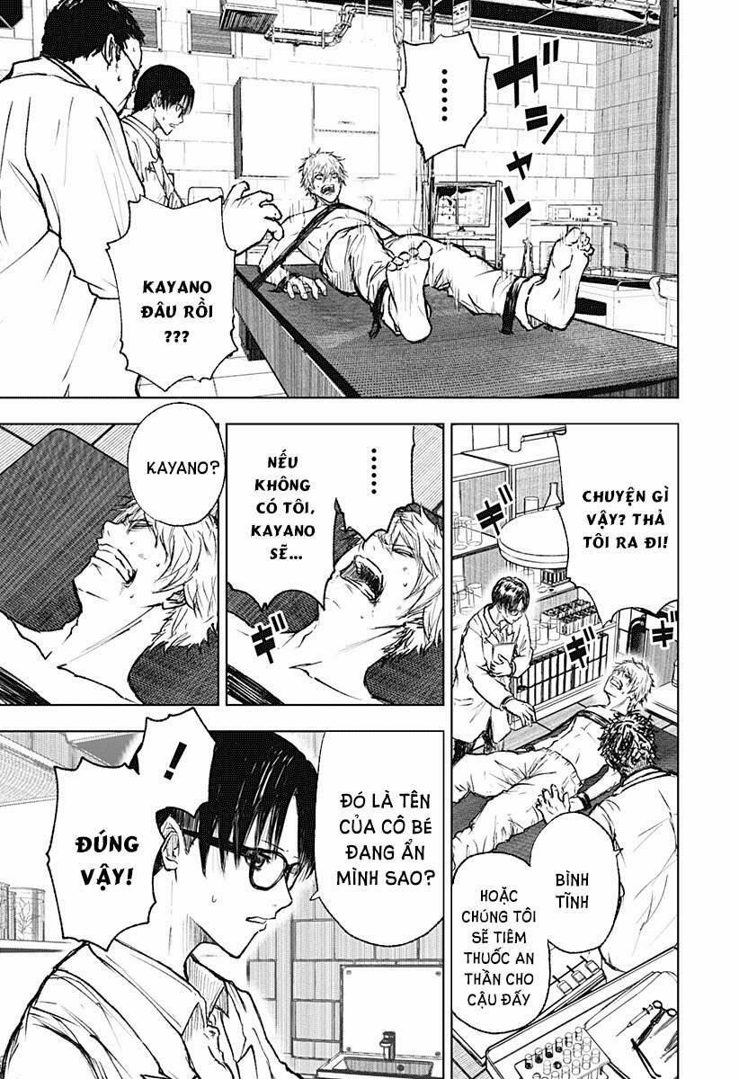 Wild Strawberry 2 trang 8