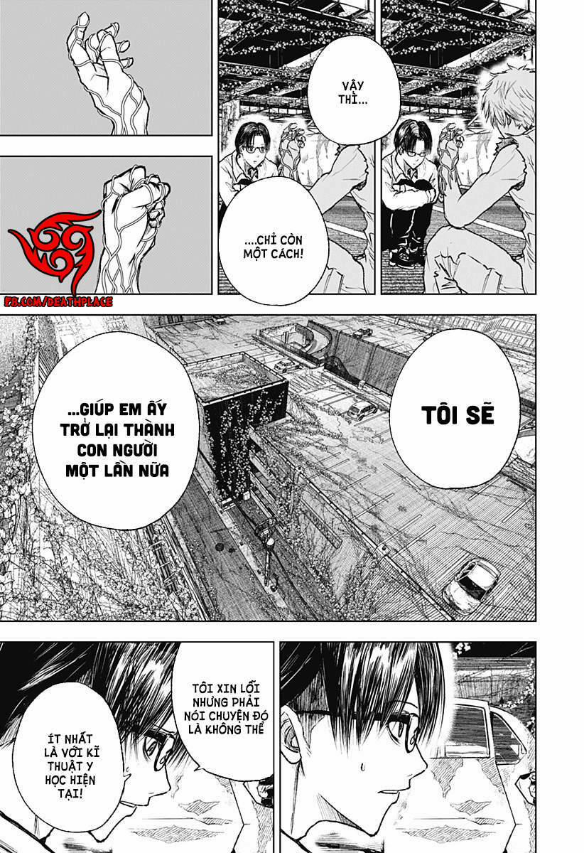 Wild Strawberry 3 trang 10