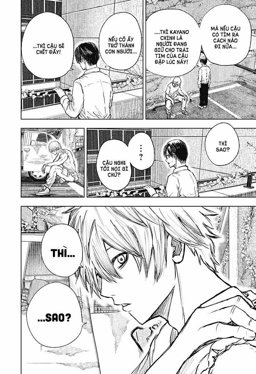 Wild Strawberry 3 trang 11