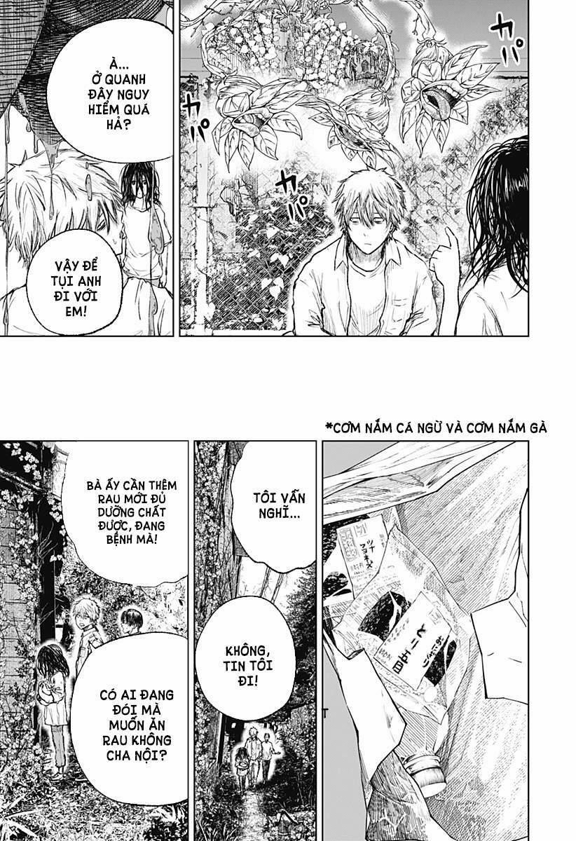 Wild Strawberry 3 trang 20