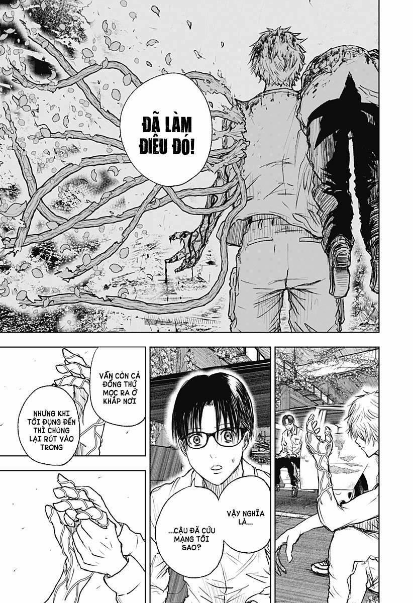 Wild Strawberry 3 trang 4