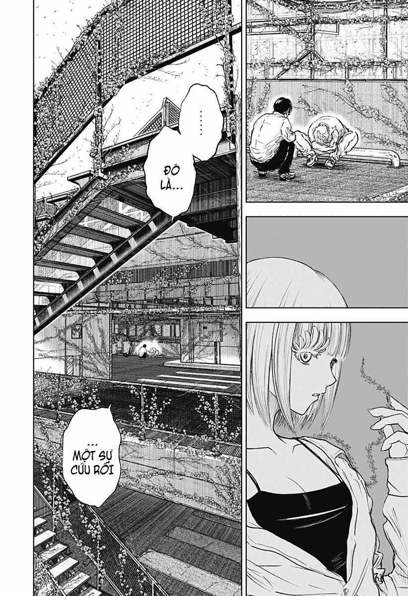 Wild Strawberry 3 trang 9