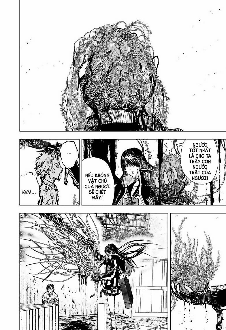 Wild Strawberry 4 trang 27