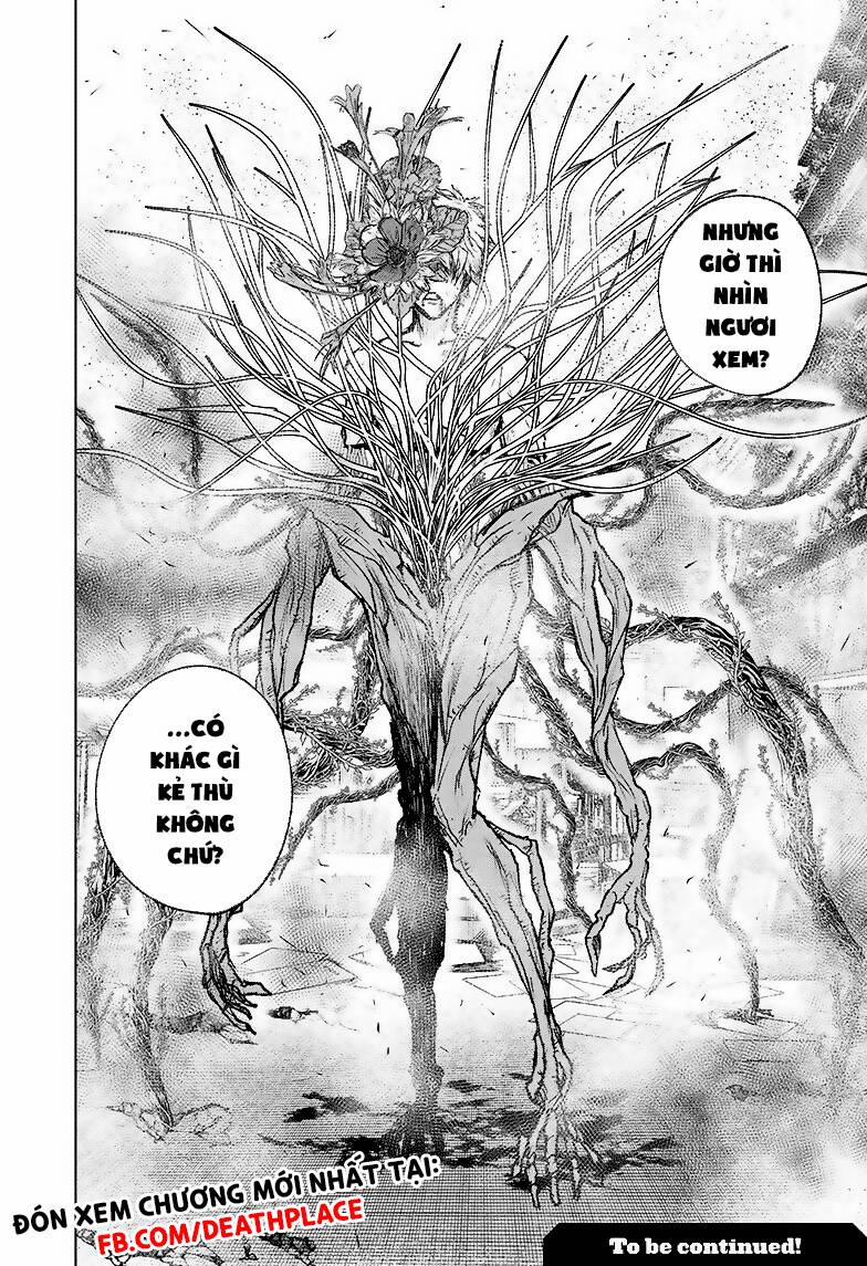 Wild Strawberry 4 trang 33