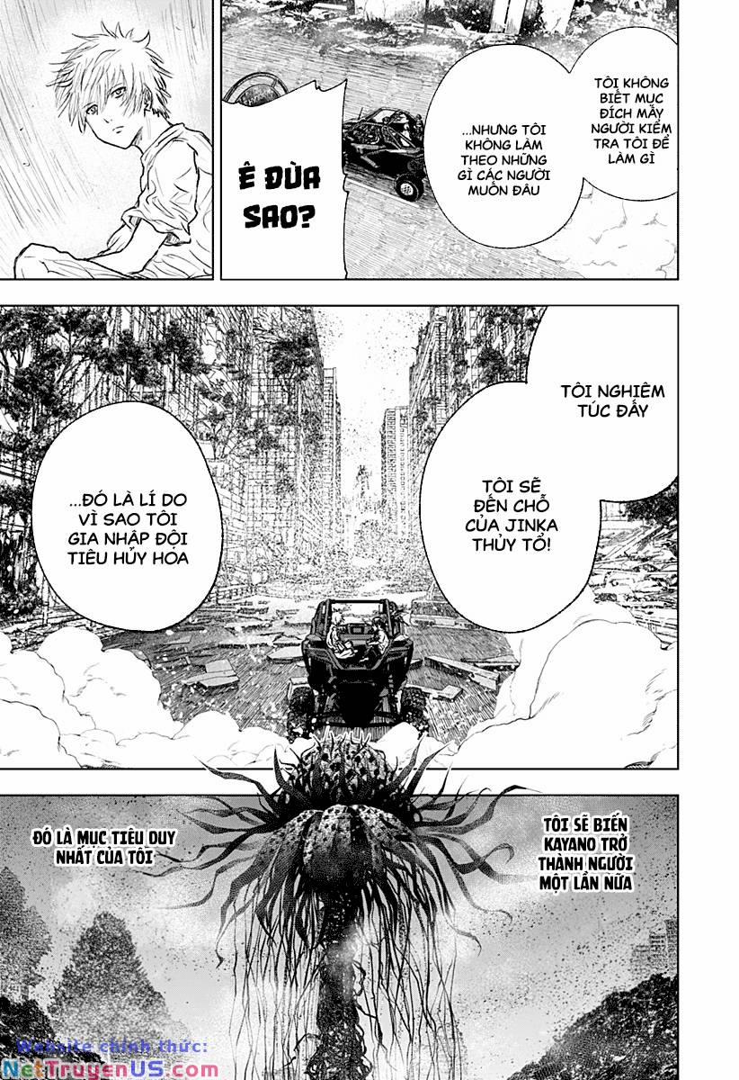 Wild Strawberry 6 trang 12