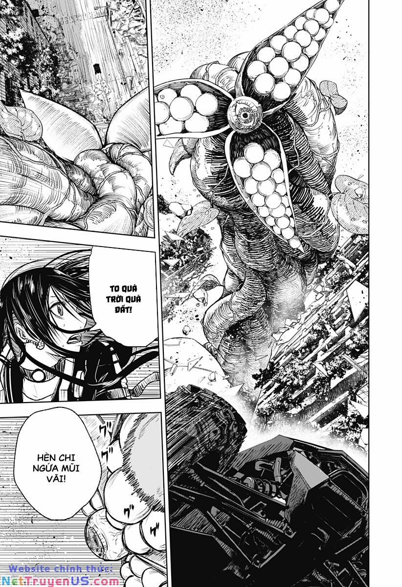 Wild Strawberry 6 trang 14