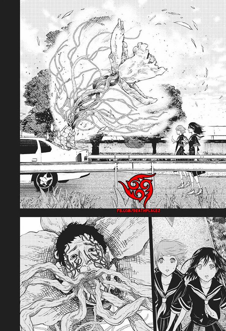 Wild Strawberry 9 trang 19