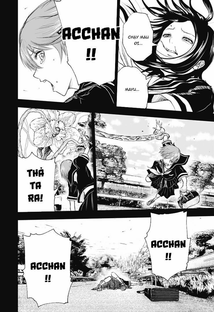 Wild Strawberry 9 trang 21