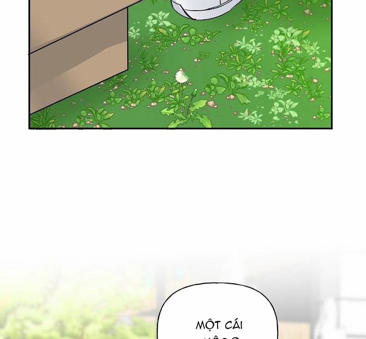 Xác Suất Tình Yêu 38 trang 13