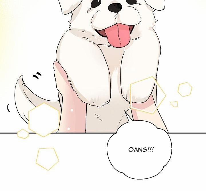 Xác Suất Tình Yêu 38 trang 19