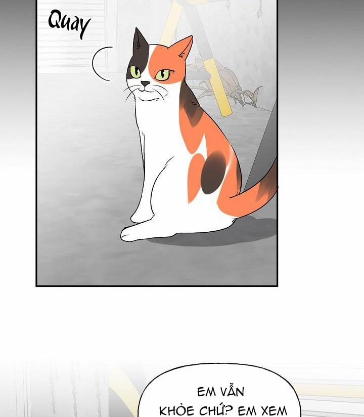 Xác Suất Tình Yêu 39 trang 54