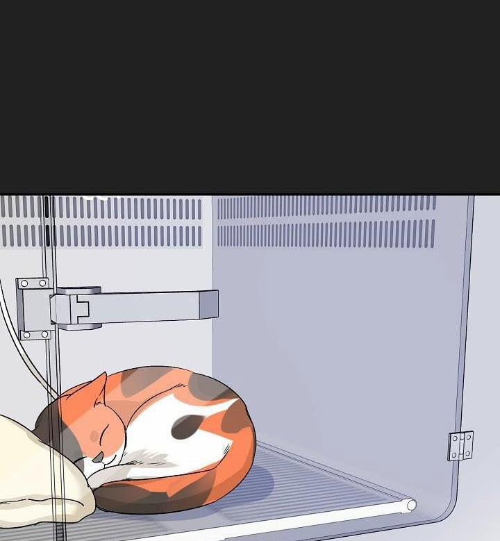 Xác Suất Tình Yêu 39 trang 69