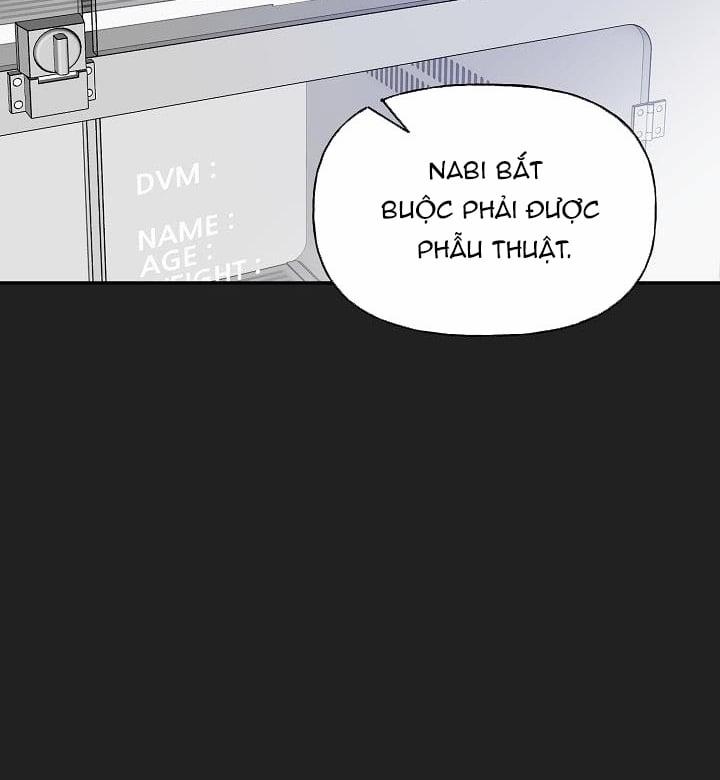 Xác Suất Tình Yêu 39 trang 70