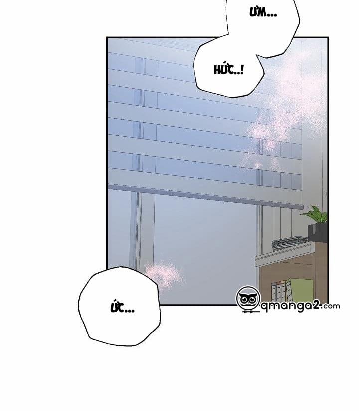 Xác Suất Tình Yêu 42 trang 3