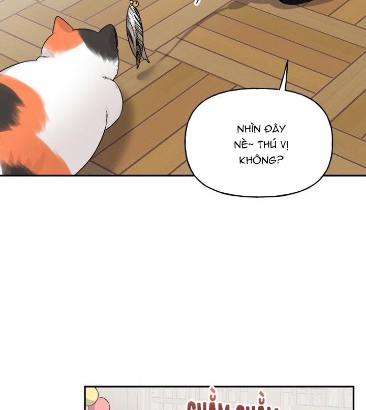 Xác Suất Tình Yêu 50 trang 5