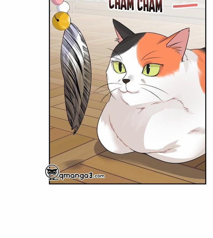 Xác Suất Tình Yêu 50 trang 6