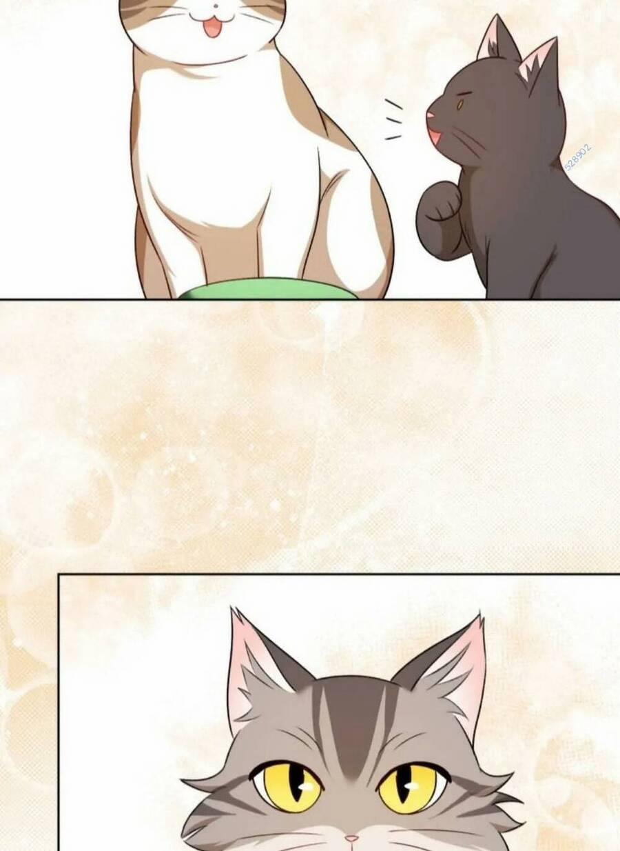 Xin Chào! Bác Sĩ Thú Y 21 trang 67