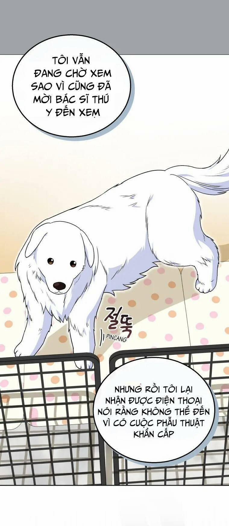 Xin Chào! Bác Sĩ Thú Y 22 trang 36