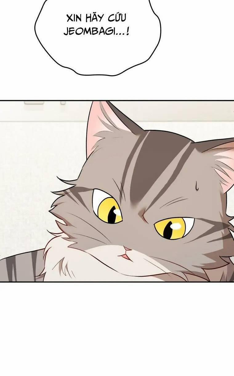 Xin Chào! Bác Sĩ Thú Y 25 trang 5