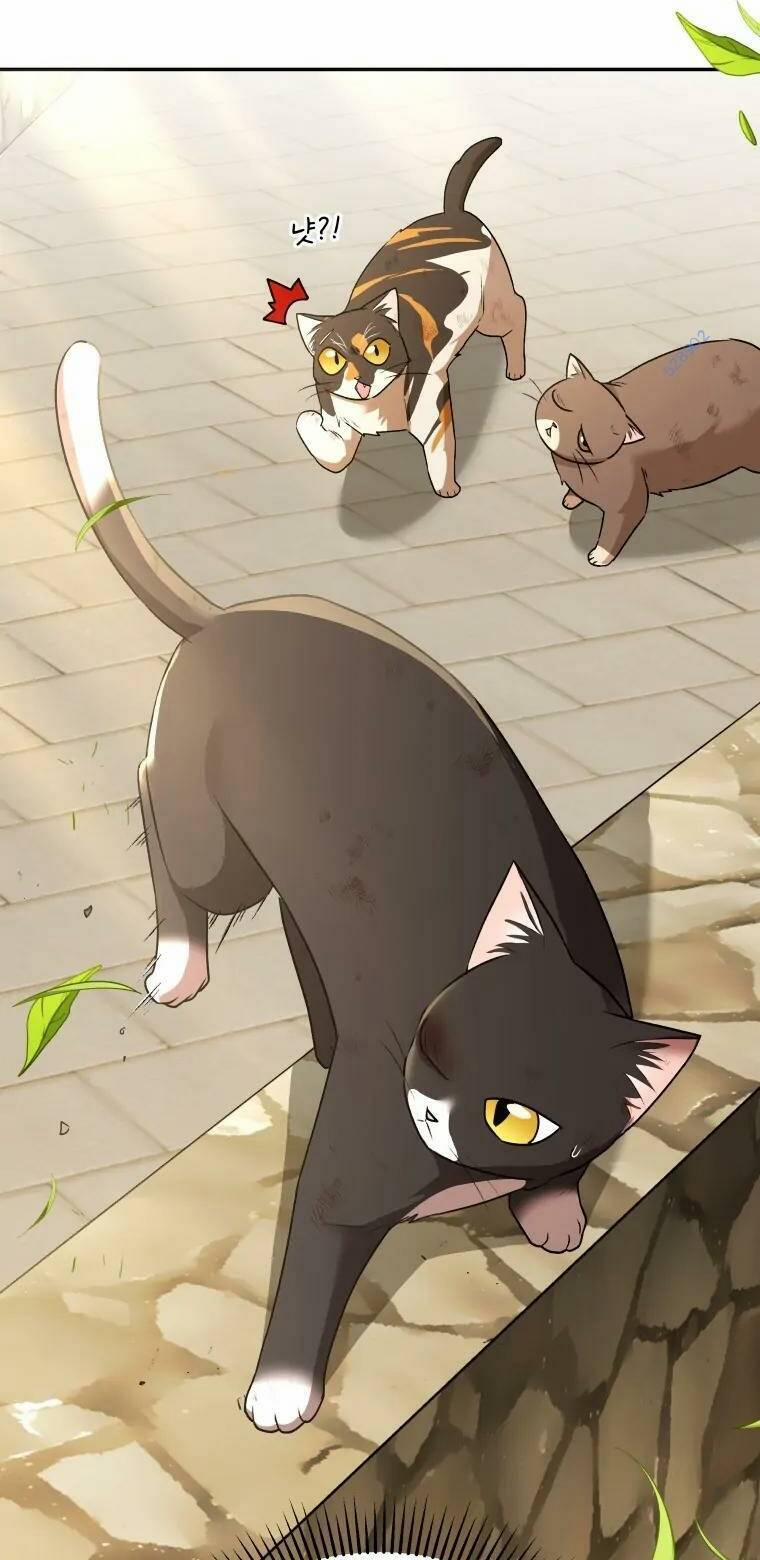 Xin Chào! Bác Sĩ Thú Y 27 trang 25