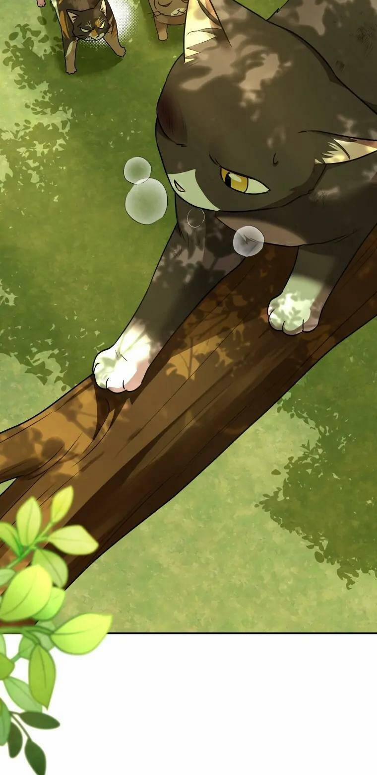 Xin Chào! Bác Sĩ Thú Y 27 trang 29