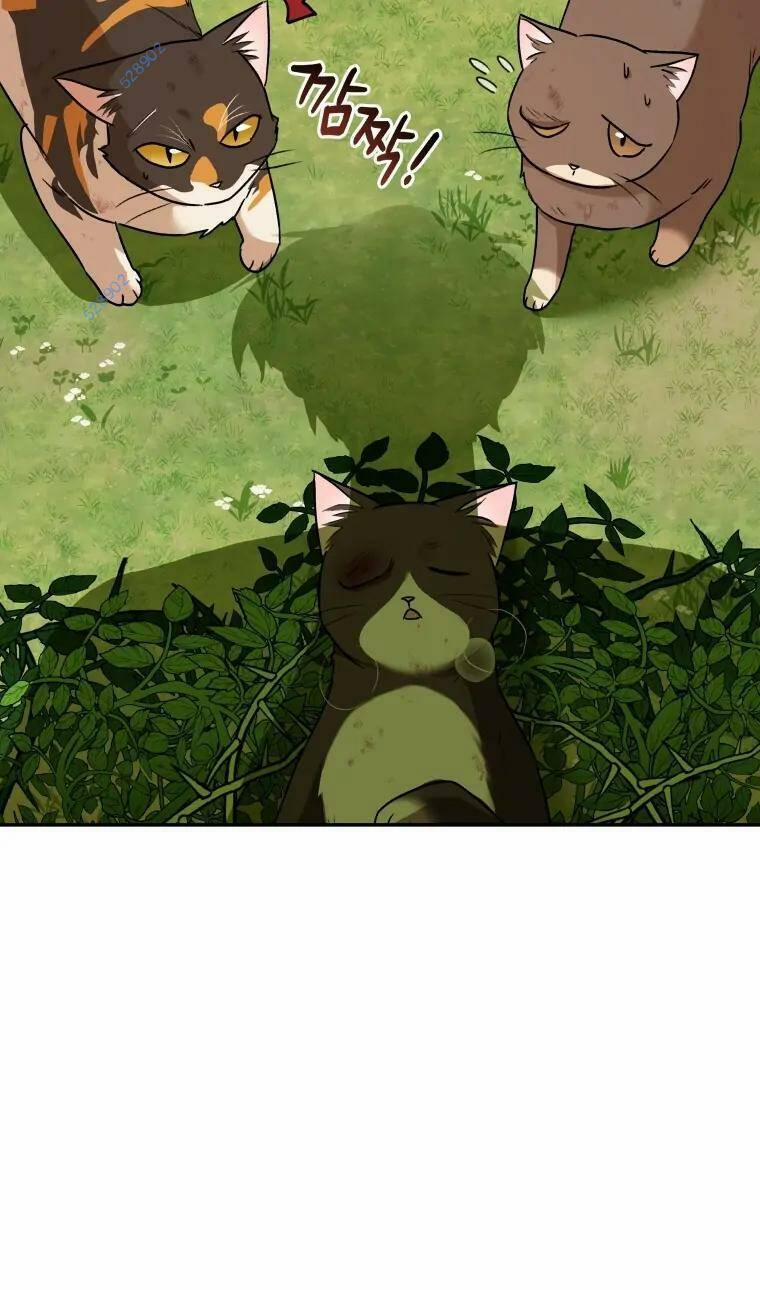 Xin Chào! Bác Sĩ Thú Y 27 trang 44