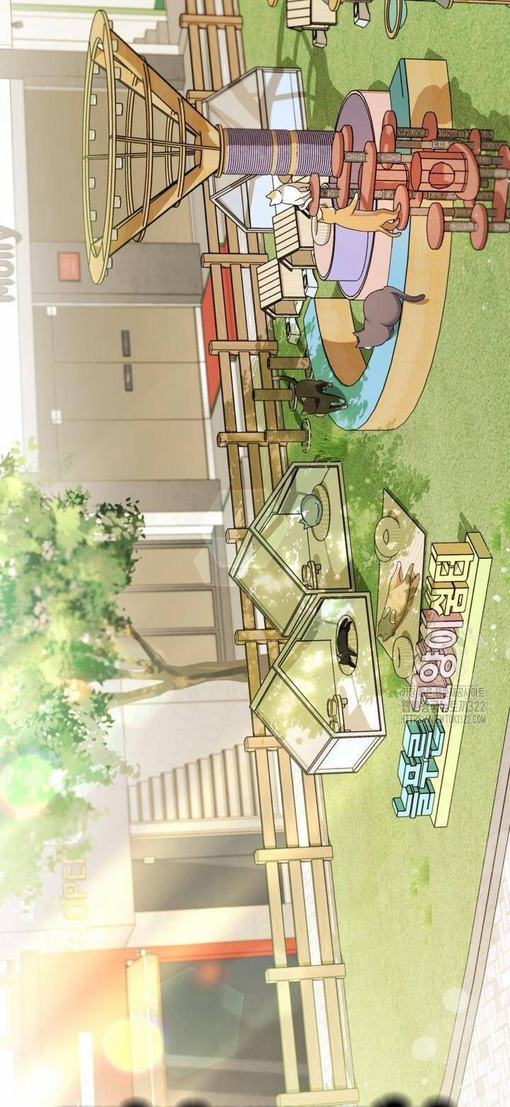 Xin Chào! Bác Sĩ Thú Y 37 trang 21