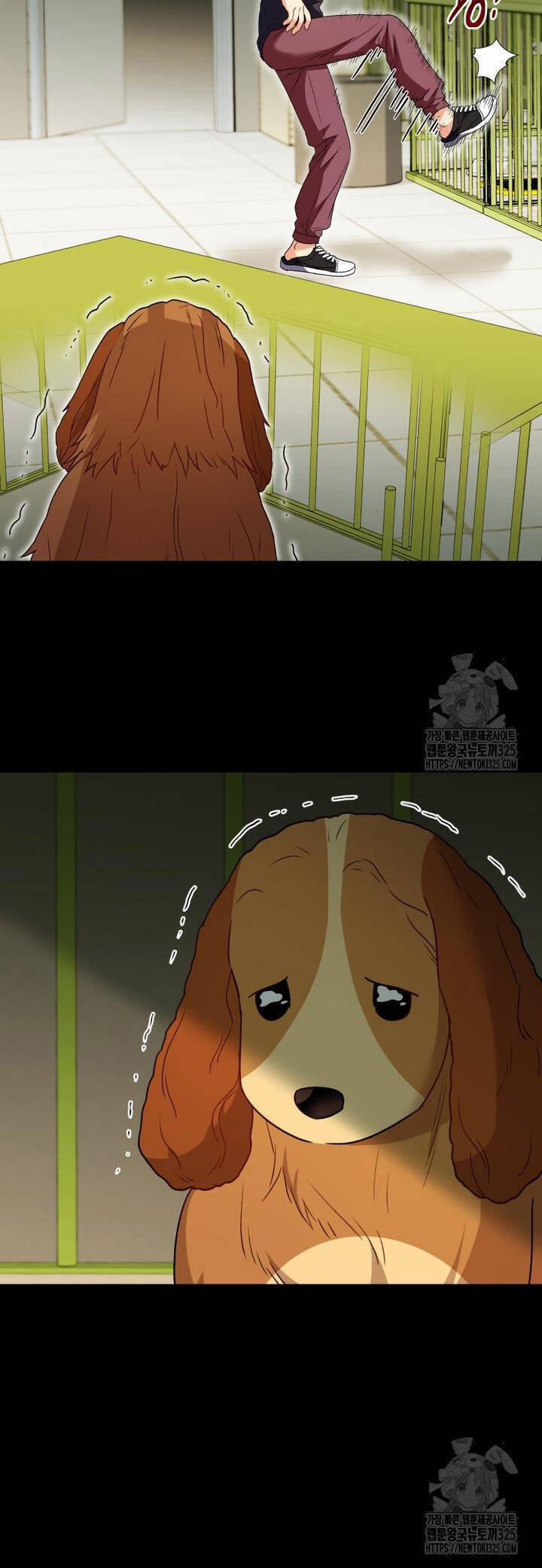 Xin Chào! Bác Sĩ Thú Y 43 trang 11