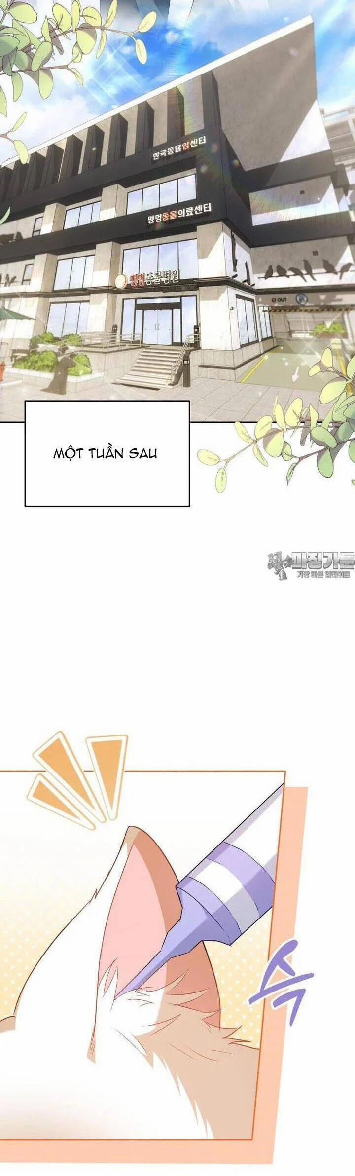 Xin Chào! Bác Sĩ Thú Y 53 trang 35