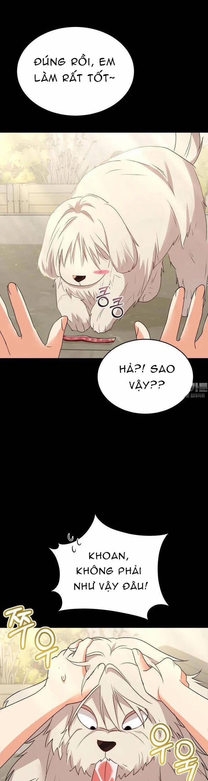 Xin Chào! Bác Sĩ Thú Y 55 trang 2