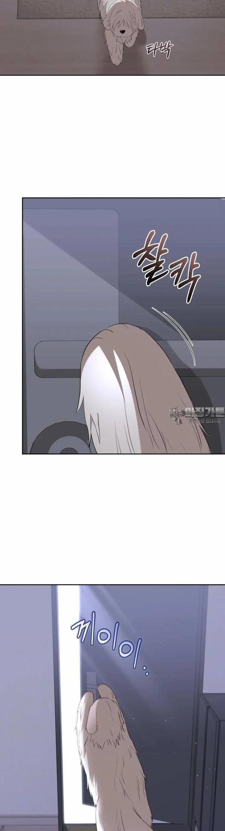 Xin Chào! Bác Sĩ Thú Y 55 trang 46