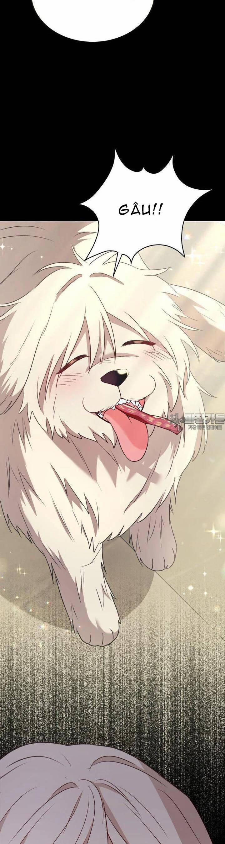 Xin Chào! Bác Sĩ Thú Y 55 trang 5