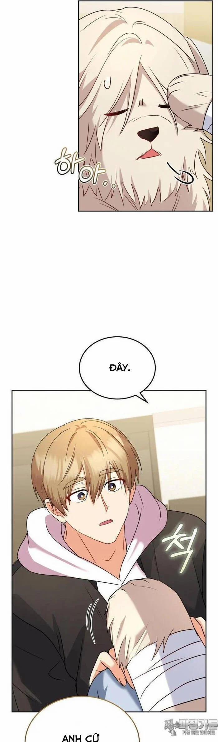 Xin Chào! Bác Sĩ Thú Y 56 trang 18