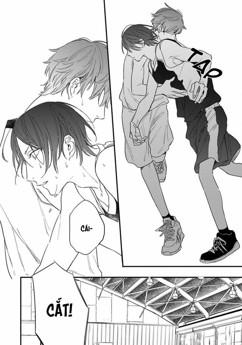 Xin Chào Sao Mai!!! 5 trang 15