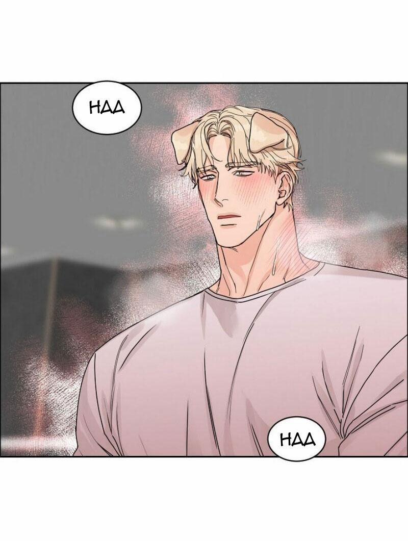 Xin Hãy Nuôi Tôi 2.5 trang 24