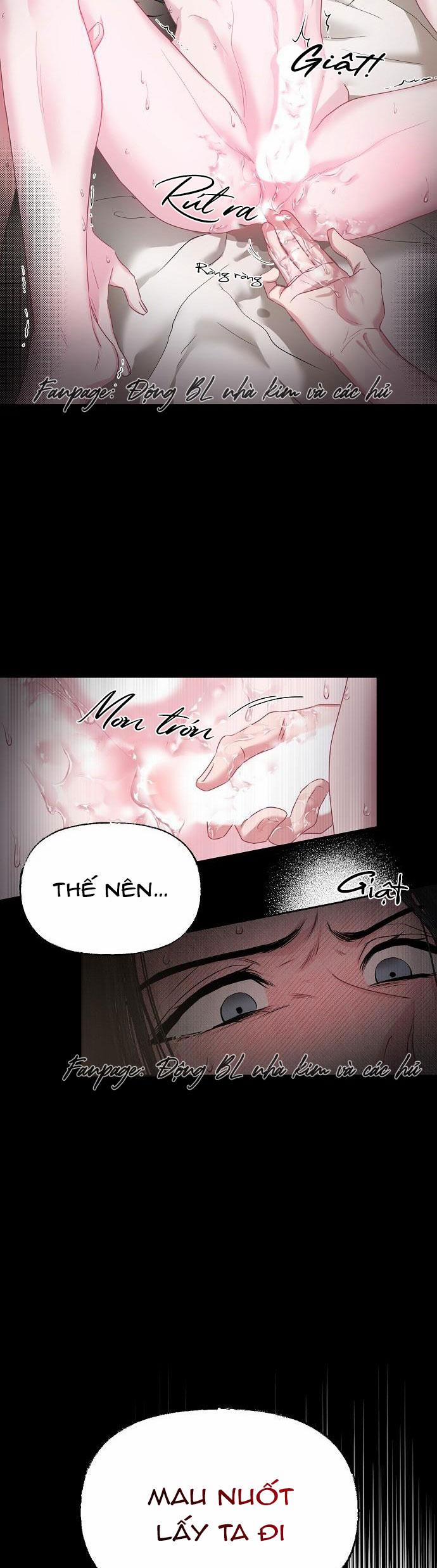 Xuân Phong Viên Mãn 1 trang 3