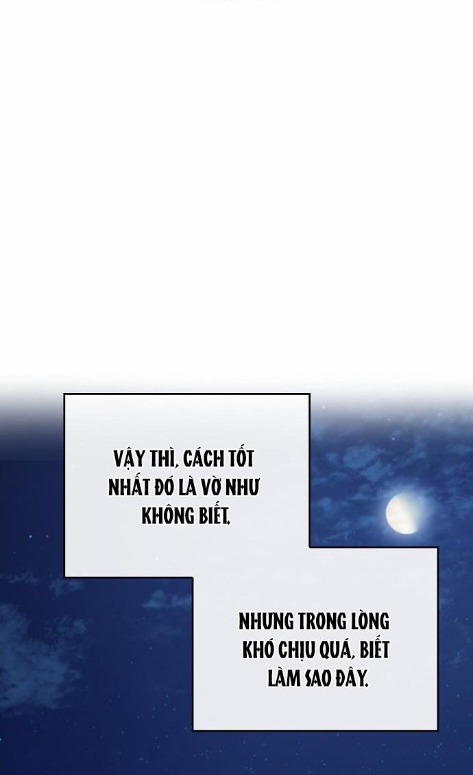 Xuân Phong Viên Mãn 12.5 trang 19