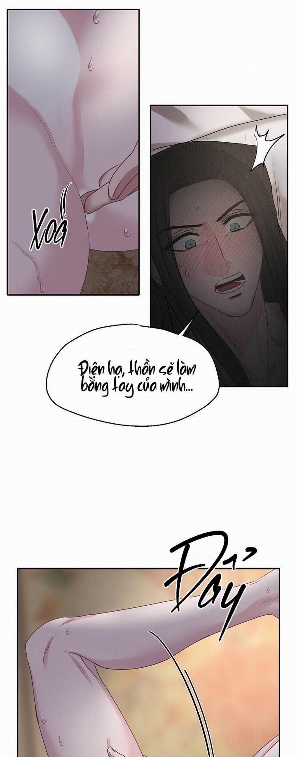 Xuân Phong Viên Mãn 22 trang 31