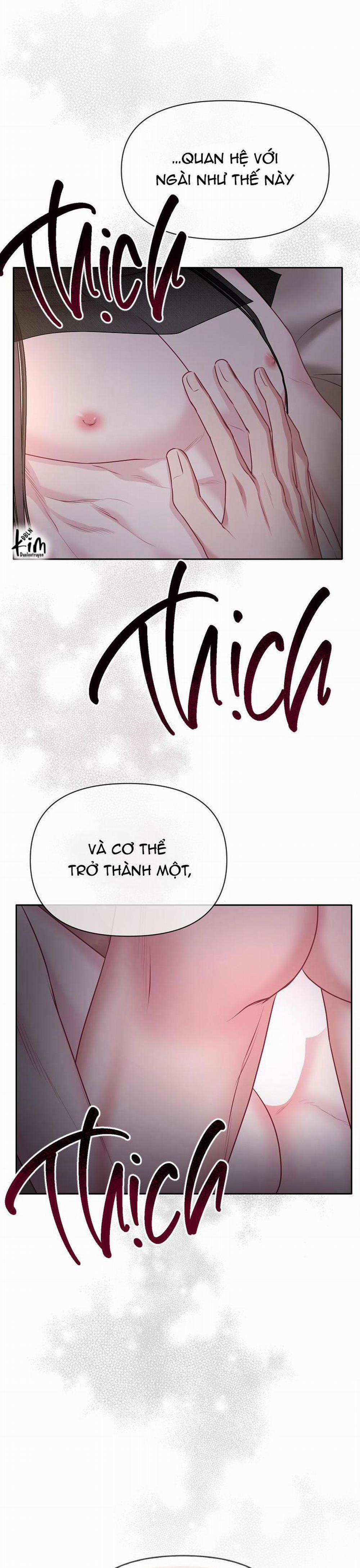 Xuân Phong Viên Mãn 42 trang 28