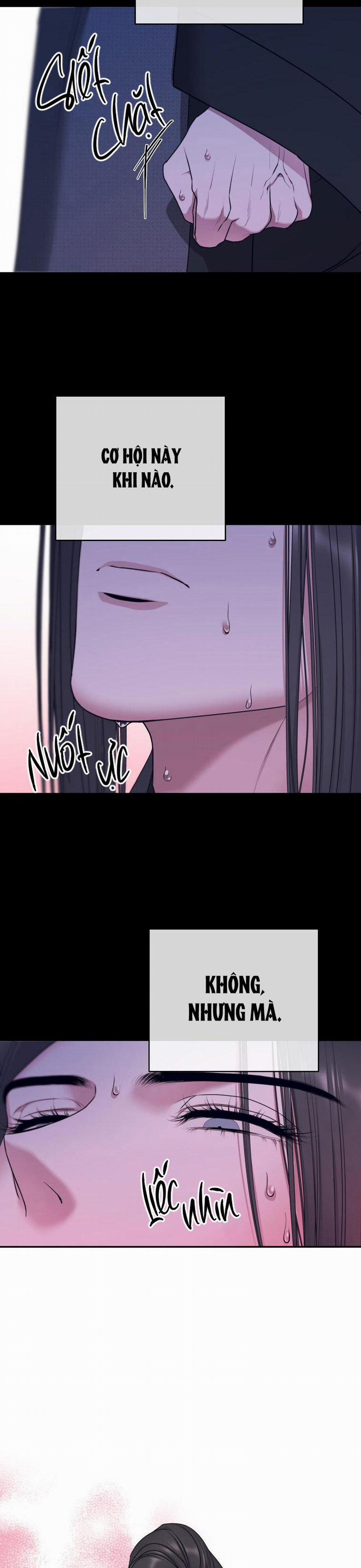 Xuân Phong Viên Mãn 57 trang 24