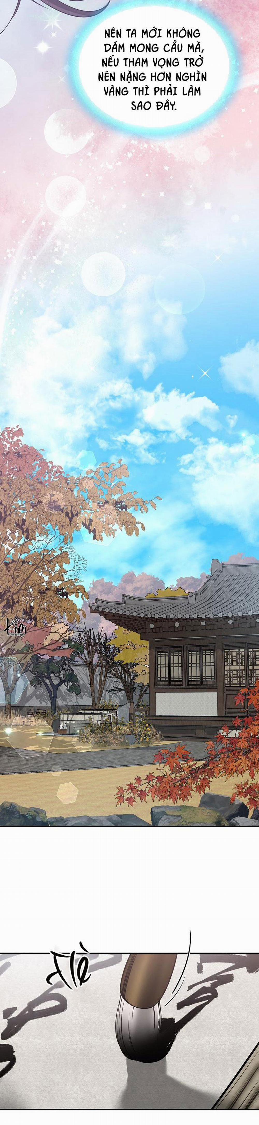 Xuân Phong Viên Mãn 67 trang 13