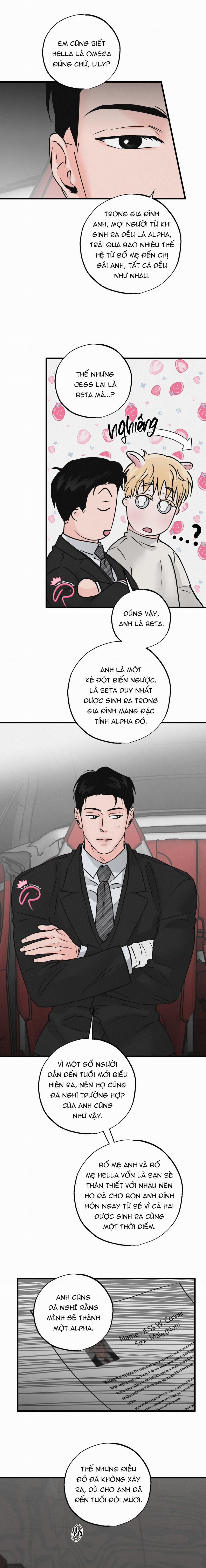 Xứng Đôi Vừa Lứa 28 trang 10