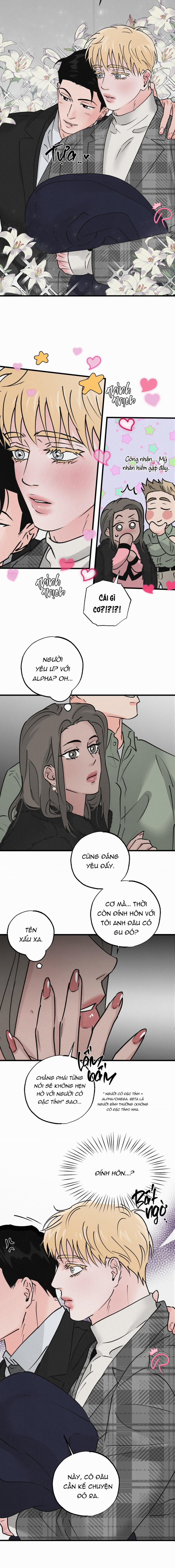 Xứng Đôi Vừa Lứa 28 trang 5