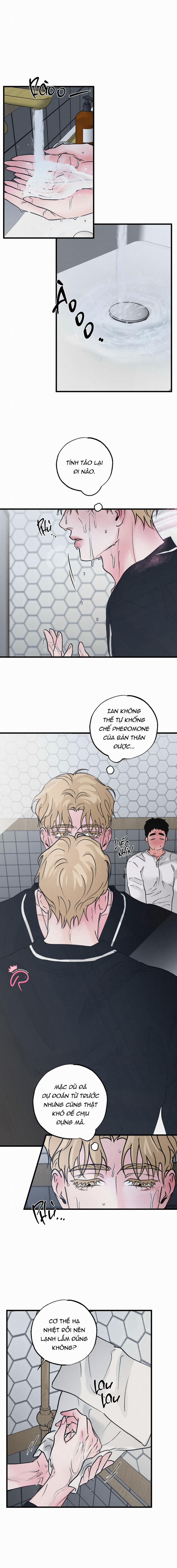 Xứng Đôi Vừa Lứa 30 trang 2